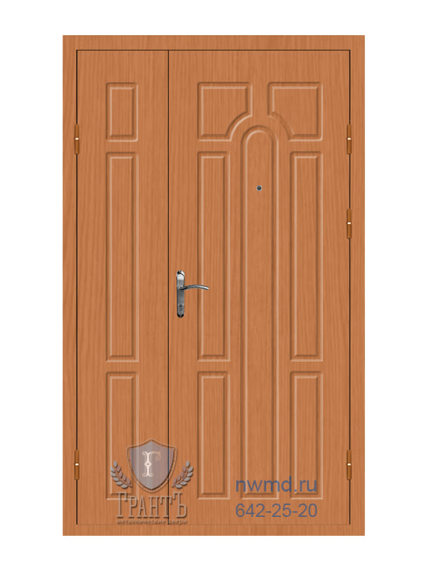 Входная дверь для старого фонда - 05-49
