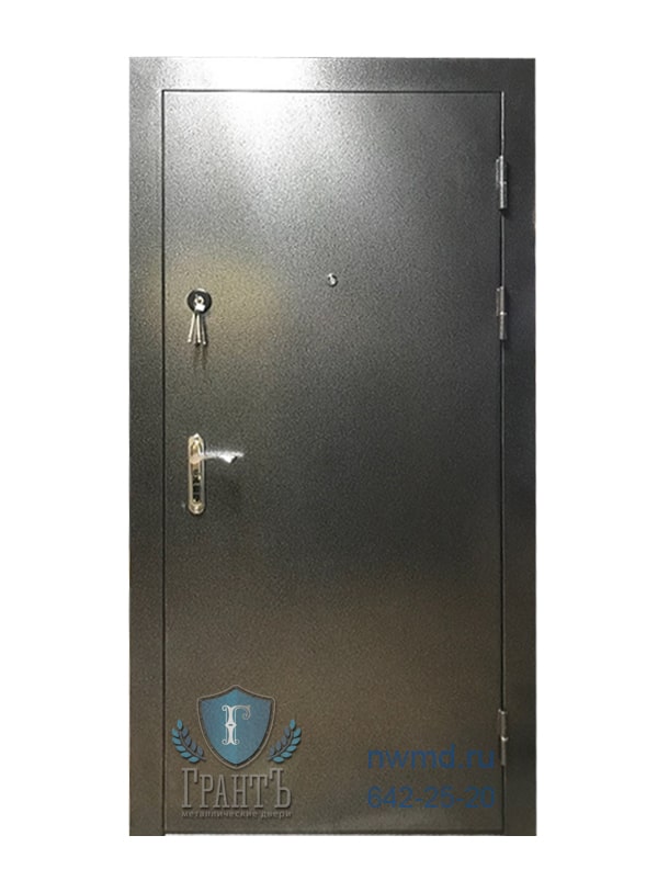 Металлическая дверь с двумя замками и нажимной ручкой
