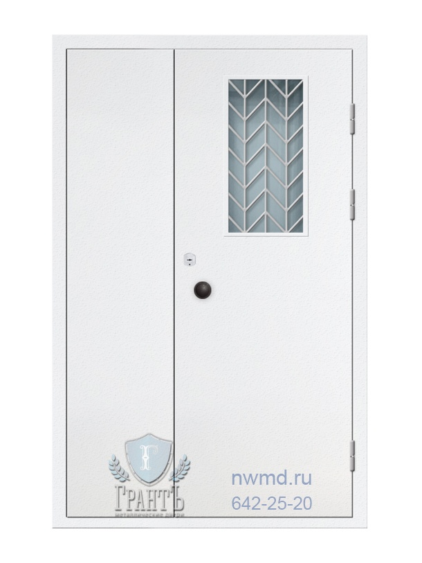 Входная техническая металлическая дверь - 04-55