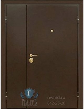 Металлическая двухстворчатая дверь 11-91