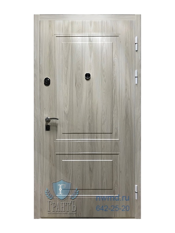 Нестандартная металлическая дверь 01-39